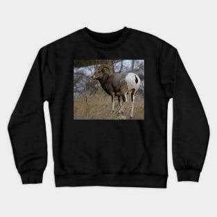 Big Horn Sheep Crewneck Sweatshirt